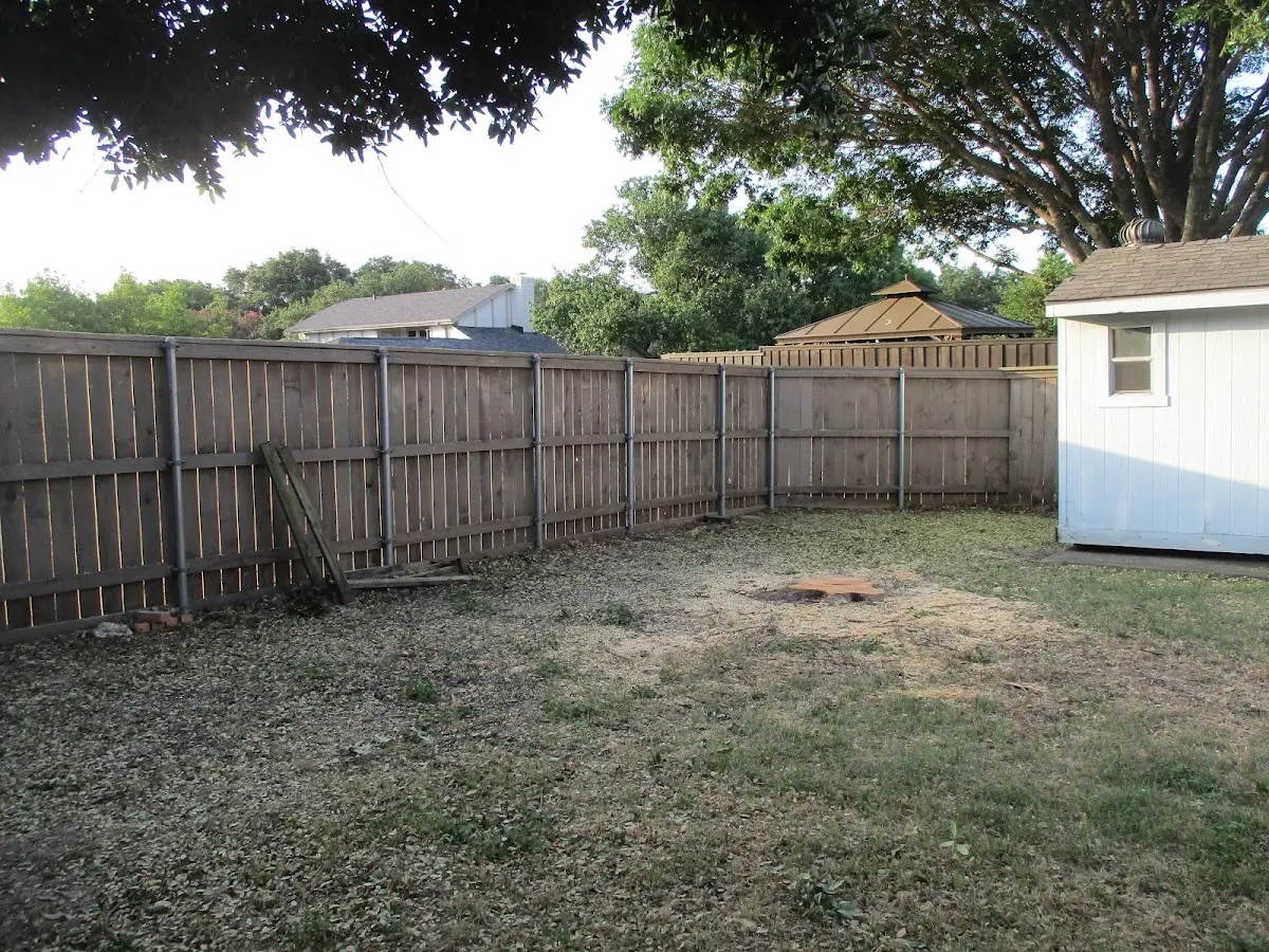 Cleared yard after professional tree removal in High Ridge